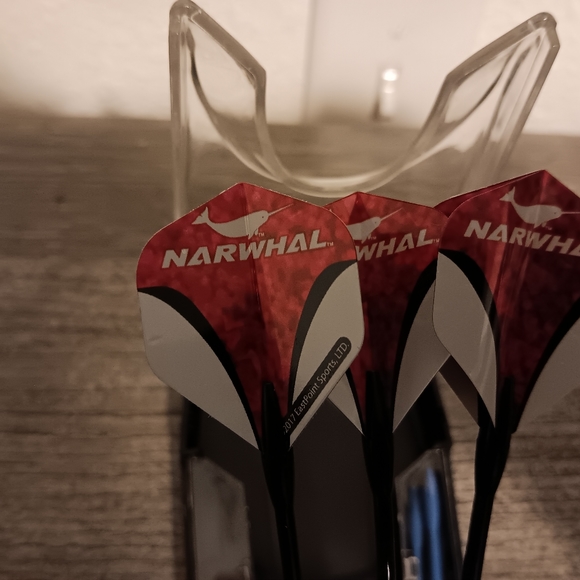 Darts - Picture 2 of 5